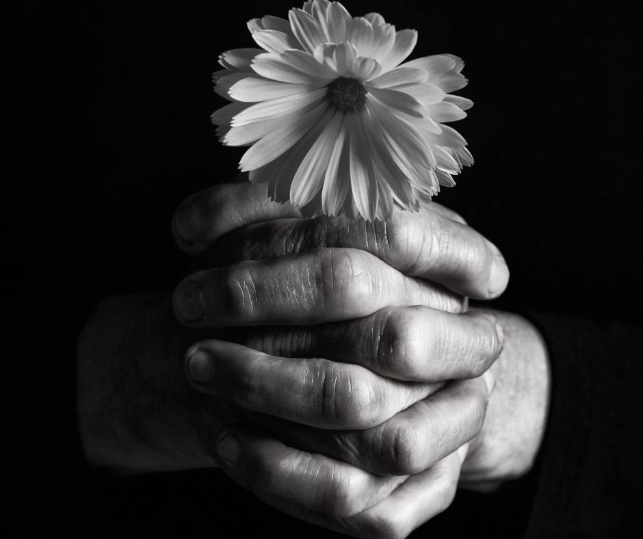 hands holding  flower representing grief