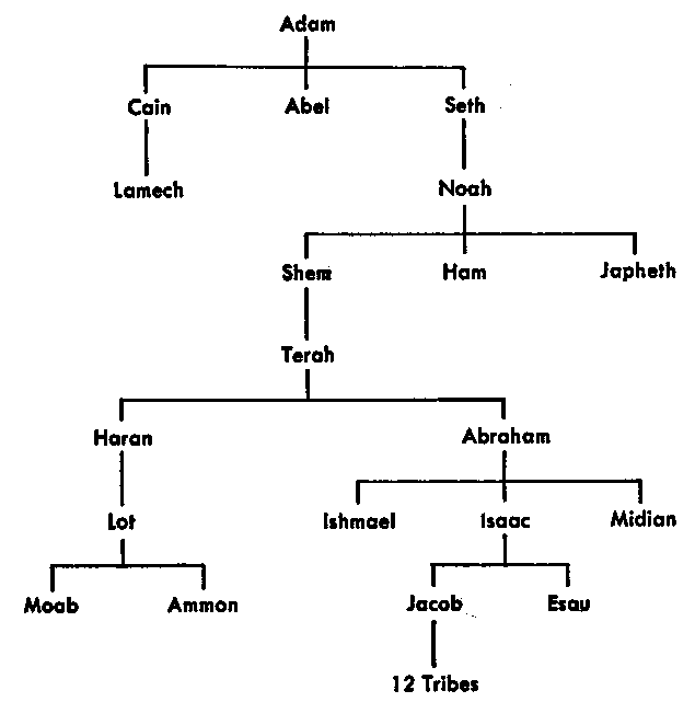 Adam's Family Tree